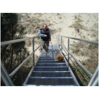 stair puppy safe.jpg